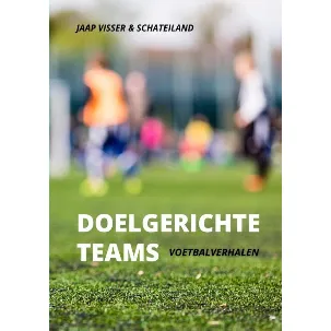 Afbeelding van Doelgerichte teams