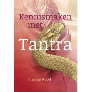 Afbeelding van Kennismaken met Tantra