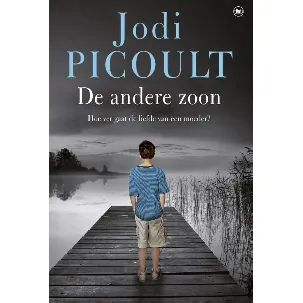 Afbeelding van De andere zoon