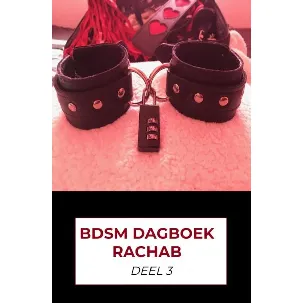 Afbeelding van BDSM dagboek rachab deel 3