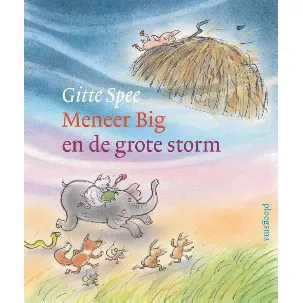 Afbeelding van Meneer Big en de grote storm