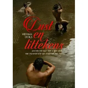 Afbeelding van Lust en littekens