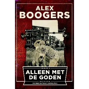 Afbeelding van Alleen met de goden