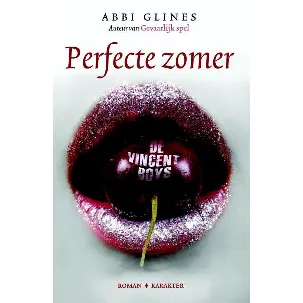 Afbeelding van De Vincent Boys - Perfecte zomer