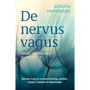 Afbeelding van De nervus vagus, onze innerlijke therapeut