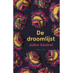 Afbeelding van De droomlijst