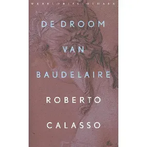 Afbeelding van De droom van Baudelaire