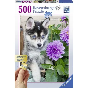 Afbeelding van Ravensburger puzzel Schattige Husky - Legpuzzel - 500 stukjes