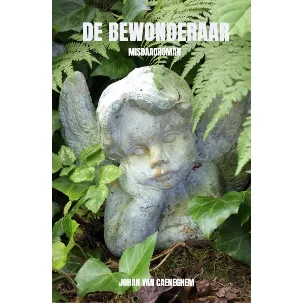 Afbeelding van De Bewonderaar