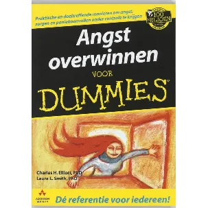 Afbeelding van Voor Dummies - Angst overwinnen voor Dummies