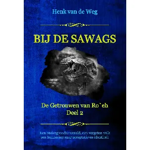 Afbeelding van De Getrouwen van Ro`eh 2 - Bij de Sawags