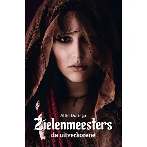 Afbeelding van Zielenmeesters 2