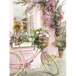 Afbeelding van Rubye® Diamond Painting Volwassenen - Diamond Painting Kinderen - Diamond Painting Pakket Volledig - Bloemen Fiets - 30x40cm