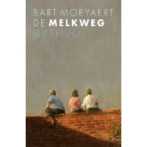 Afbeelding van De Melkweg