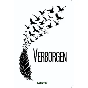 Afbeelding van Verborgen