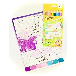 Afbeelding van Kleurboek voor volwassen ''Zwaan' + 12 BIC kleurpotloden - Schaduw Kleurboek voor volwassenen - Kleurpotloden voor volwassenen - Potloden volwassenen - Kleuren - Stiften bloemen
