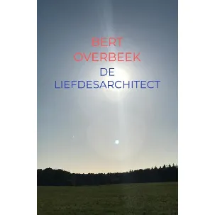 Afbeelding van De Liefdesarchitect