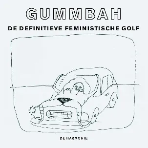 Afbeelding van De definitieve feministische golf