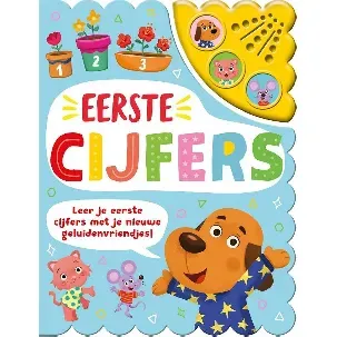 Afbeelding van Eerste cijfers