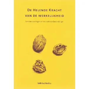 Afbeelding van De helende kracht van de werkelijkheid