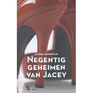 Afbeelding van Negentig geheimen van Jacey