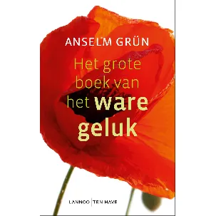 Afbeelding van Het grote boek van het ware geluk