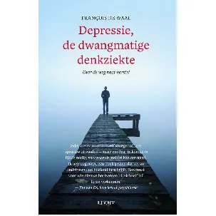 Afbeelding van Depressie, de dwangmatige denkziekte