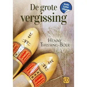 Afbeelding van De grote vergissing