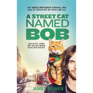 Afbeelding van A street cat named Bob