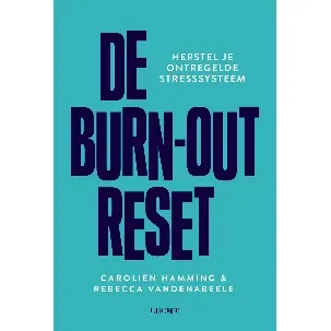 Afbeelding van De burn-out reset