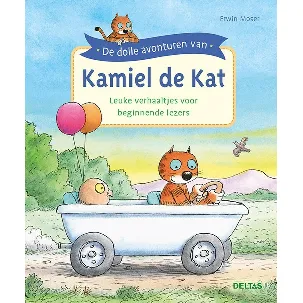 Afbeelding van De dolle avonturen van Kamiel de Kat