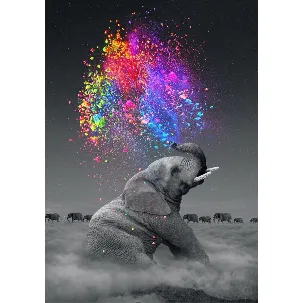 Afbeelding van Rubye® Diamond Painting Volwassenen - Diamond Painting Kinderen - Kleurrijke Olifant - 30x40cm