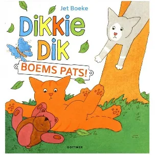 Afbeelding van BOEK DIKKIE DIK BOEM PATS!