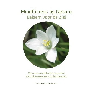 Afbeelding van Star Remedies - Mindfulness by Nature - Balsem voor de Ziel