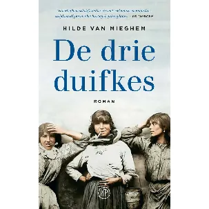 Afbeelding van De drie duifkes