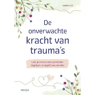 Afbeelding van De onverwachte kracht van trauma's