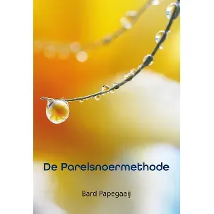 Afbeelding van De Parelsnoermethode