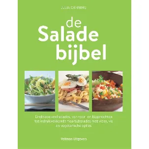 Afbeelding van de Saladebijbel