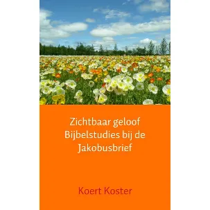 Afbeelding van Zichtbaar geloof Bijbelstudies bij de Jakobusbrief