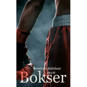 Afbeelding van Bokser