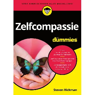 Afbeelding van Voor Dummies - Zelfcompassie voor Dummies