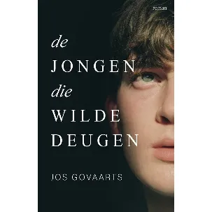 Afbeelding van De jongen die wilde deugen