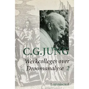 Afbeelding van Werkcolleges 4. droomanalyse 2