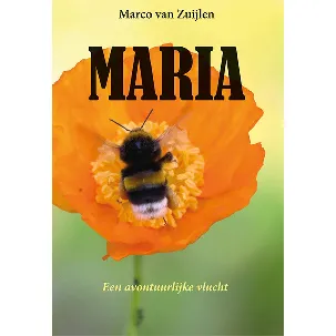 Afbeelding van Maria