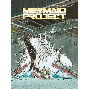 Afbeelding van Mermaid project