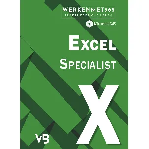 Afbeelding van Excel voor certificaat Microsoft Office Specialist MO-200 - Microsoft 365