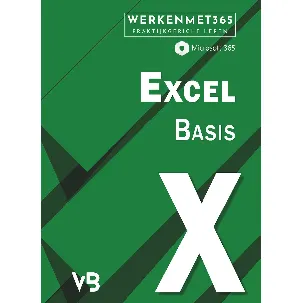 Afbeelding van Excel Basis – Microsoft Office 2021 - Microsoft 365 - Excel boek voor beginners