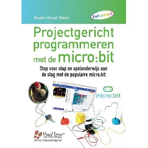 Afbeelding van Projectgericht programmeren met de micro:bit