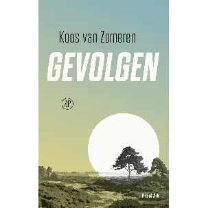 Afbeelding van Gevolgen