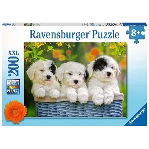 Afbeelding van Ravensburger puzzel Schattige puppies - legpuzzel - 200 stukjes